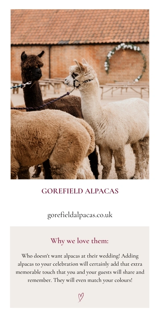 Alpacas